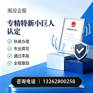山西专精特新小巨人申报服务