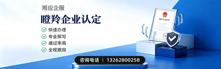 山西瞪羚企业认定申报服务