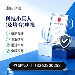 山西科技小巨人及培育企业申报服务