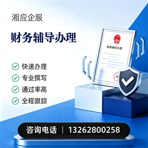山西财务辅导申请服务