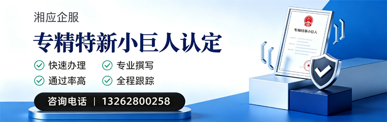山西专精特新小巨人申报服务